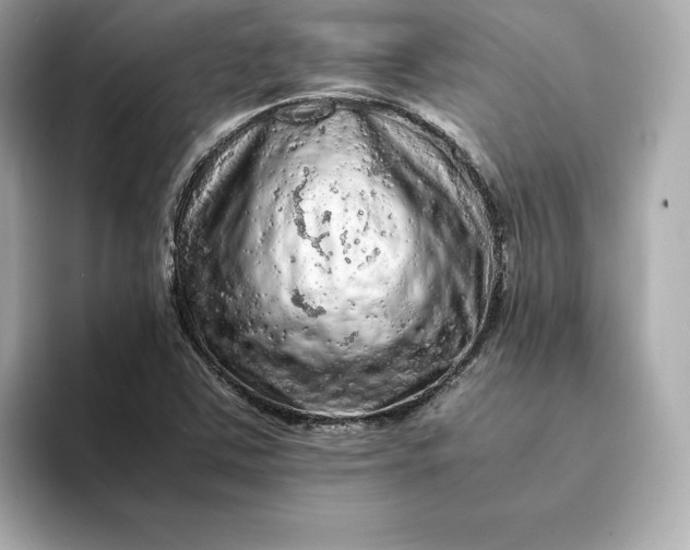 X0000093431363200710261011