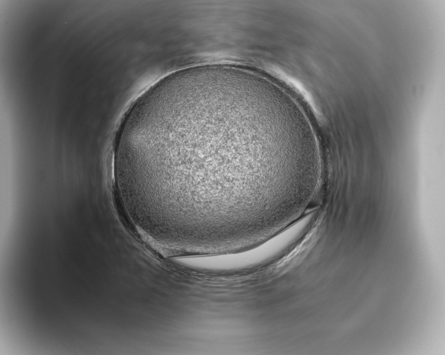 X0000093431365200710261011