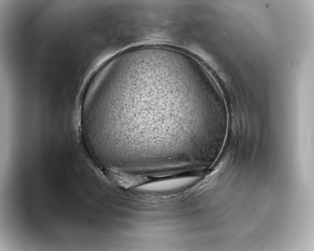 X0000093431366200710261011