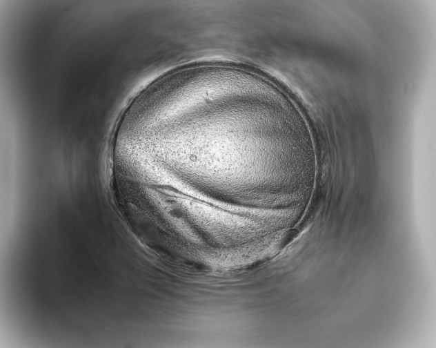 X0000093431367200710261011