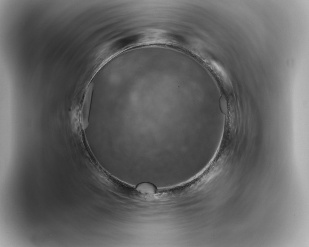 X0000093431369200710261011