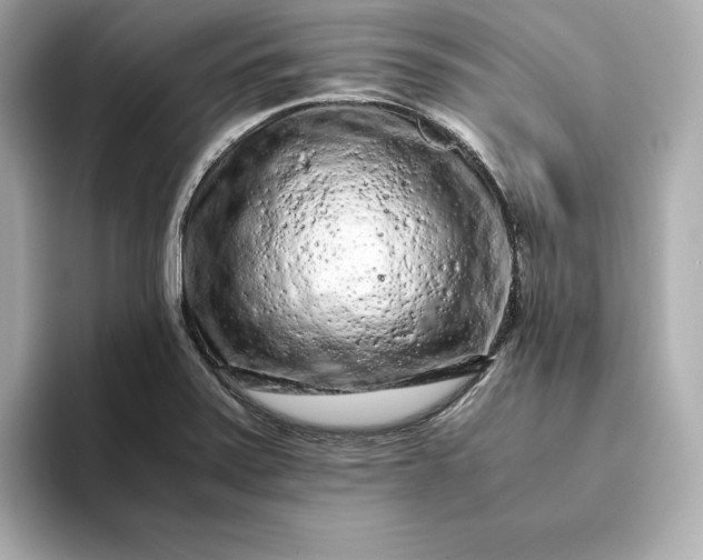 X0000093431371200710261011