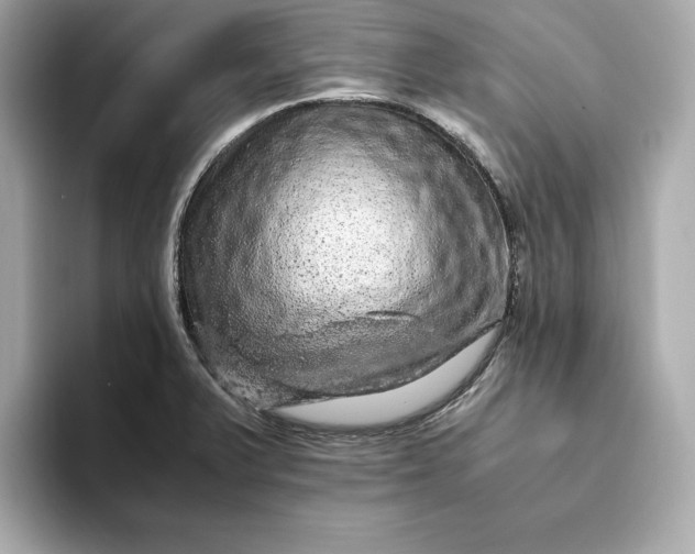 X0000093431375200710261011