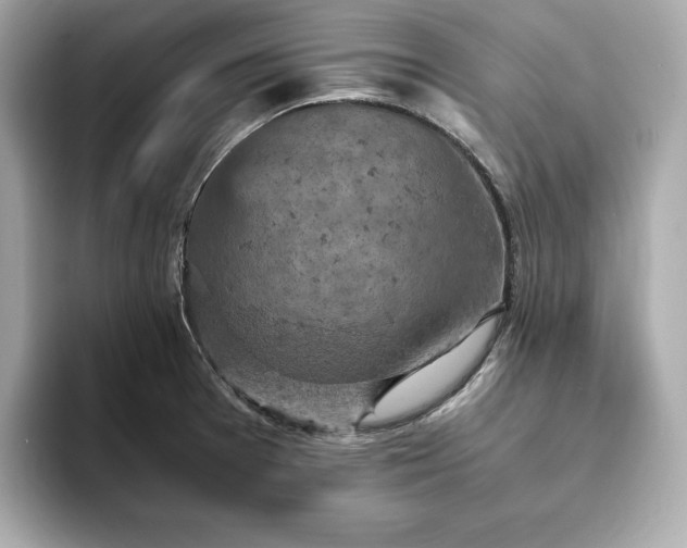 X0000093431377200710261011