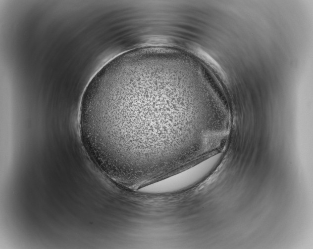 X0000093431378200710261011