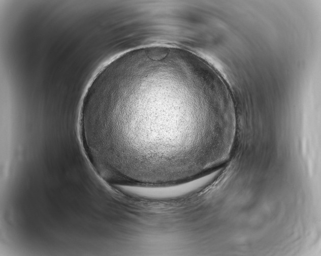 X0000093431379200710261011