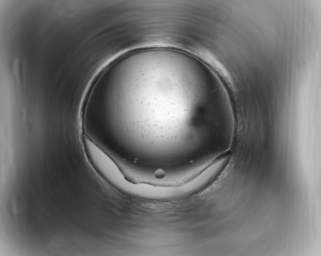 X0000093431380200710261011