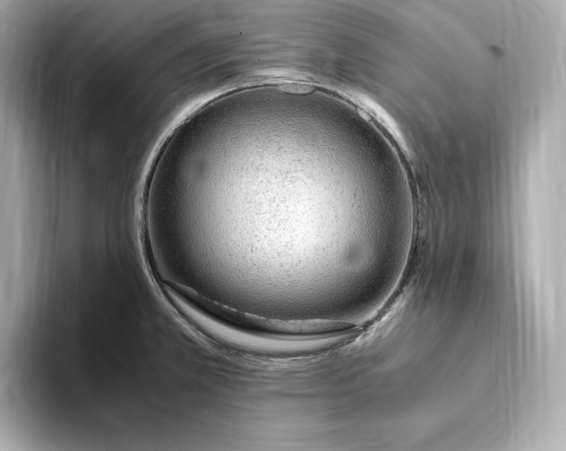 X0000093431381200710261011