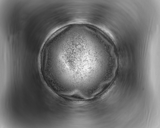 X0000093431382200710261011