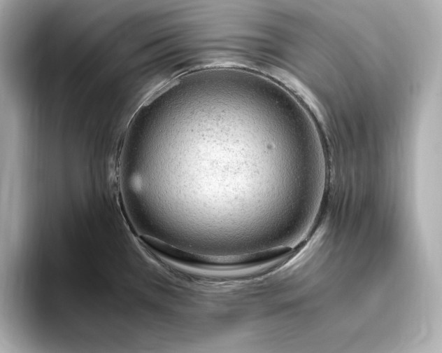 X0000093431385200710261010