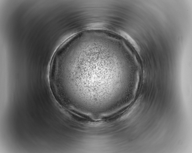 X0000093431386200710261010