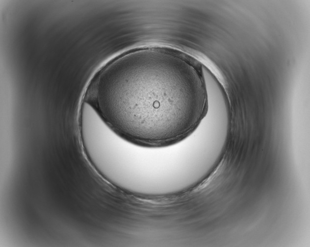 X0000093431388200710261010