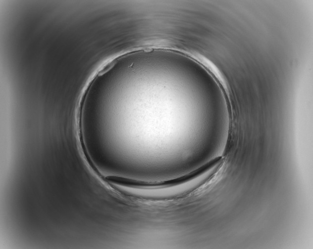 X0000093431389200710261010