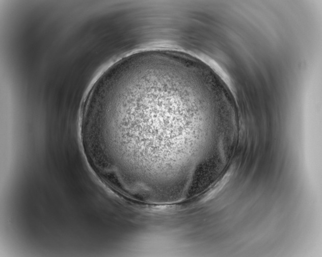 X0000093431390200710261010