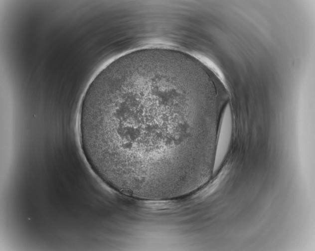 X0000093431391200710261010