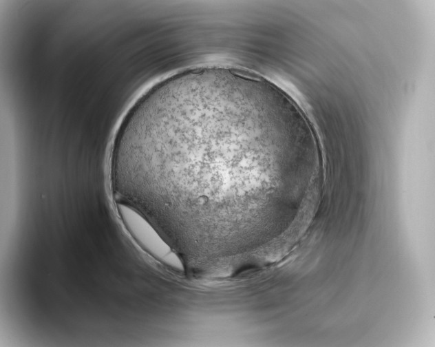 X0000093431392200710261010