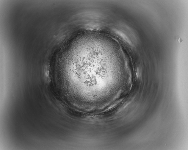 X0000093431396200710261010