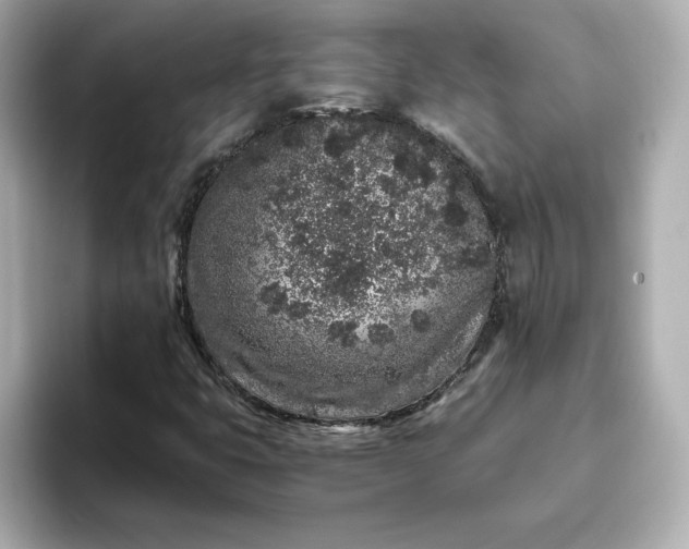 X0000093431399200710261010