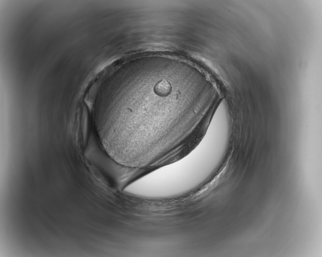 X0000093431402200710261010