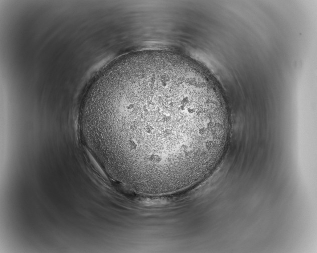 X0000093431403200710261010