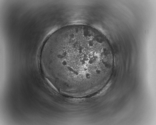 X0000093431405200710261010