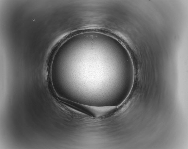 X0000093431406200710261010