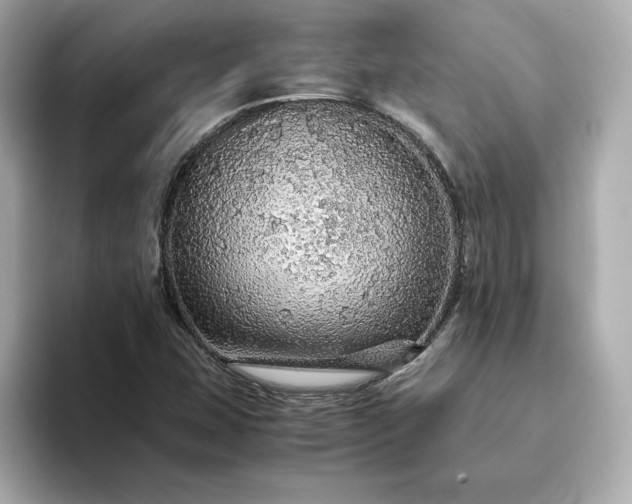 X0000093431407200710261010