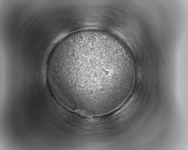 X0000093431411200710261010