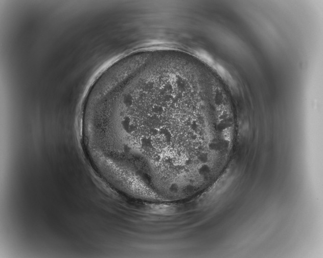 X0000093431413200710261010