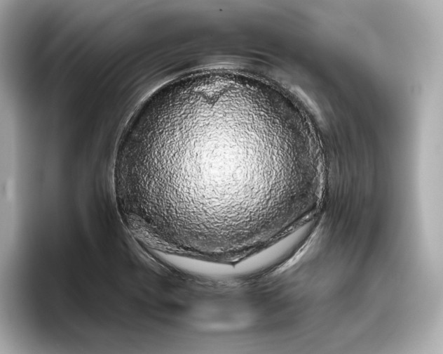 X0000093431417200710261010