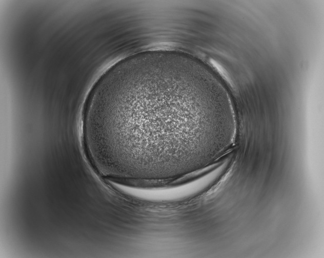 X0000093431418200710261010