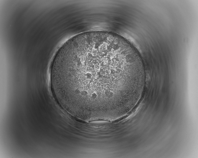 X0000093431419200710261010