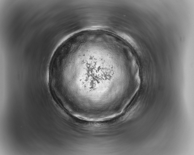 X0000093431420200710261010