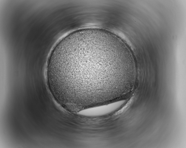 X0000093431421200710261010