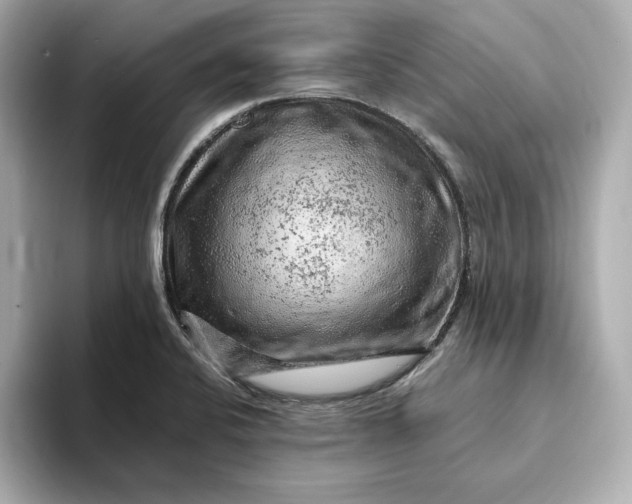 X0000093431424200710261010