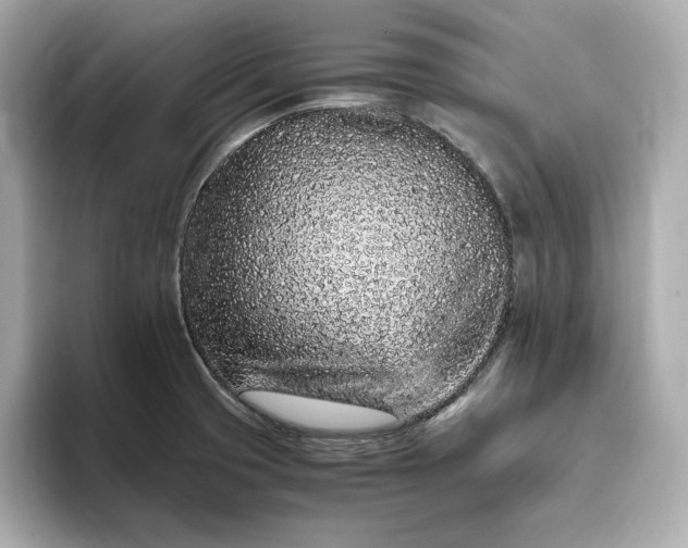 X0000093431425200710261010