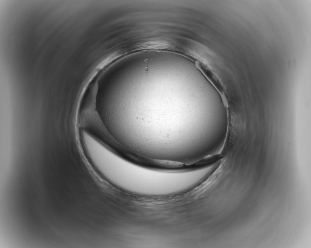 X0000093431426200710261010