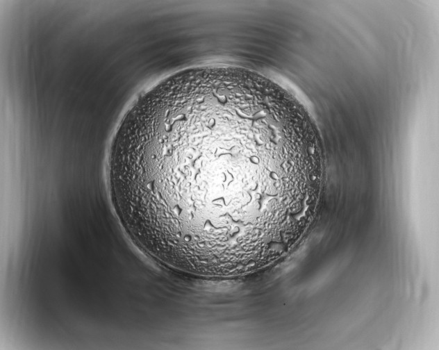 X0000093431429200710261010