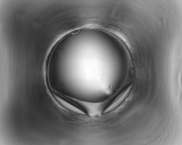 X0000093431430200710261010