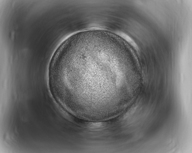 X0000093431431200710261010