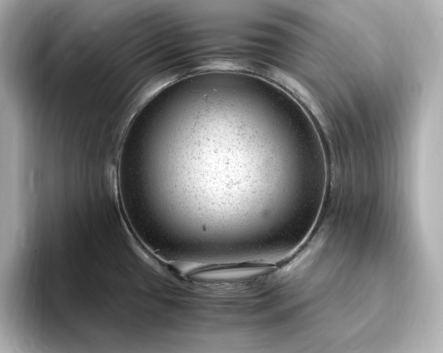 X0000093431433200710261010