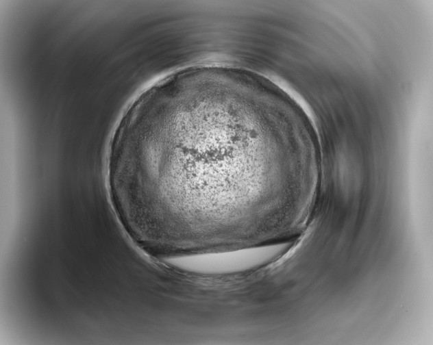 X0000093431437200710261010