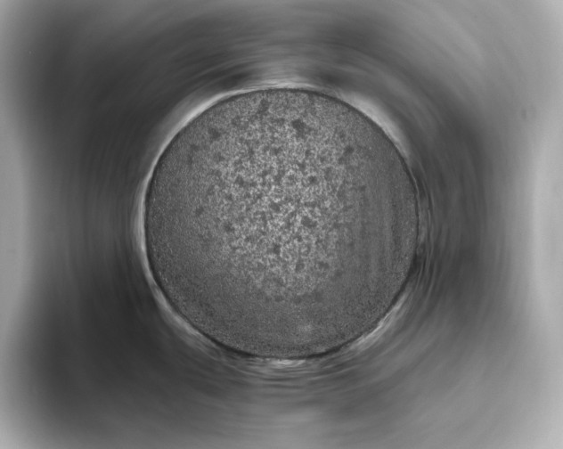 X0000093431439200710261010