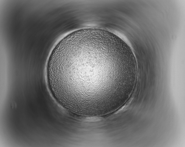 X0000093431440200710261010