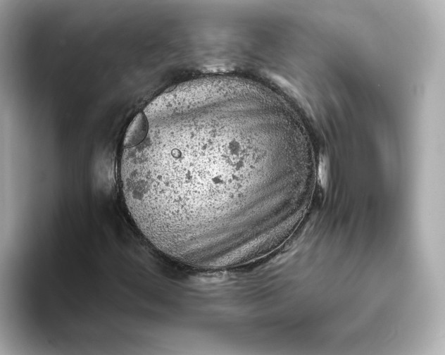 X0000093431444200710261010