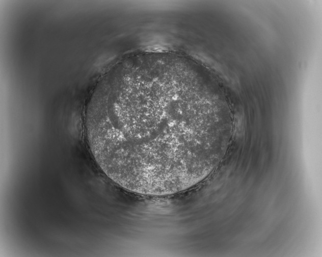 X0000093431446200710261009