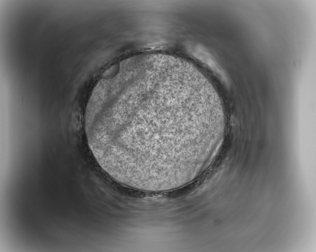 X0000093431447200710261009