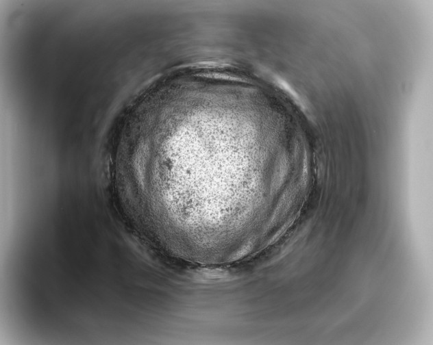 X0000093431448200710261009