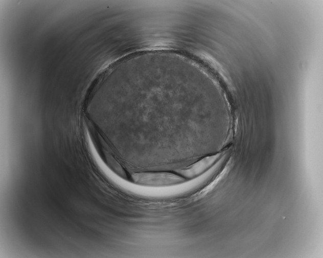 X0000093431449200710261009