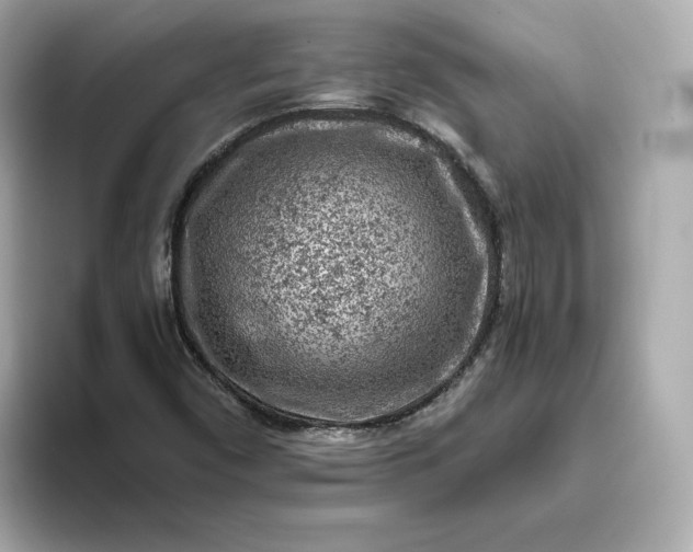 X0000093431450200710261009